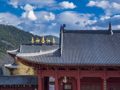 山西五台山普寿寺风景