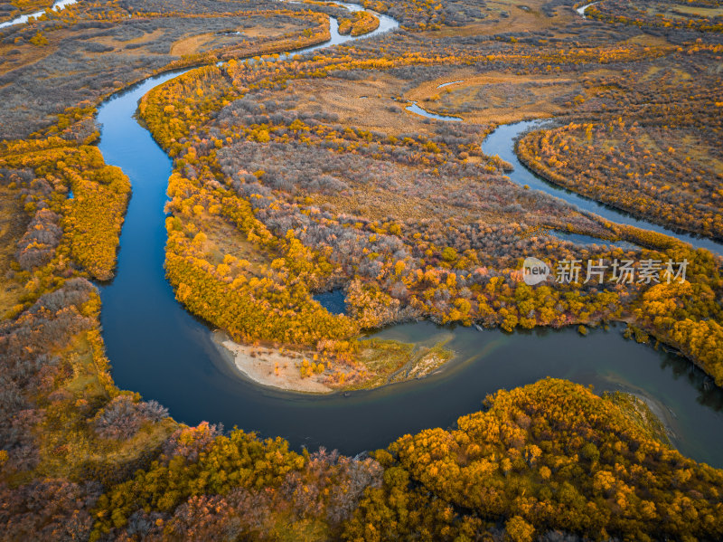 根河 秋天 额尔古纳 内蒙古大兴安岭