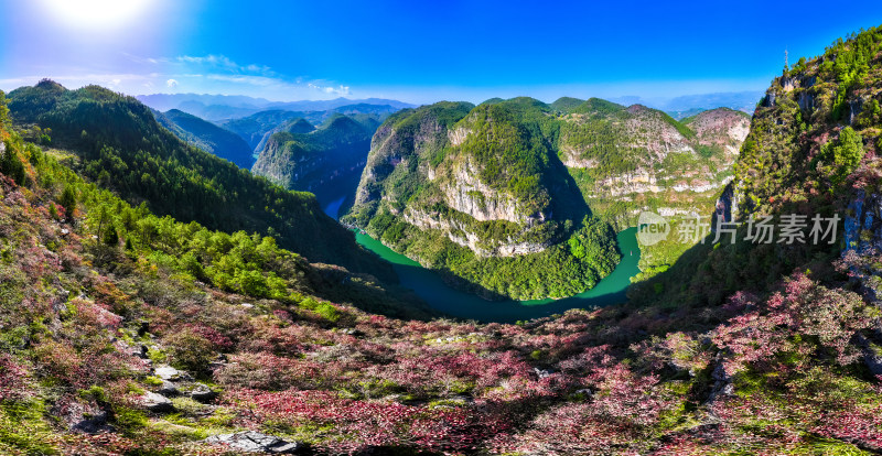 三峡红叶