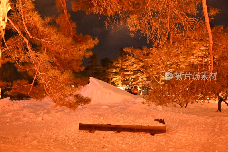 雪夜树林中积雪堆积的景象