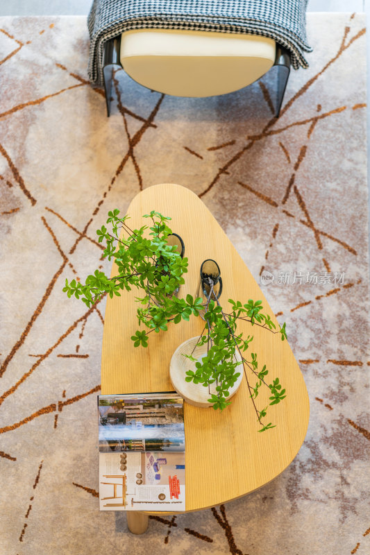 现代风格客厅木制家具 上的绿植