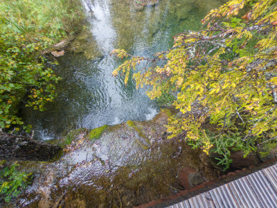 静谧的森林与湖景