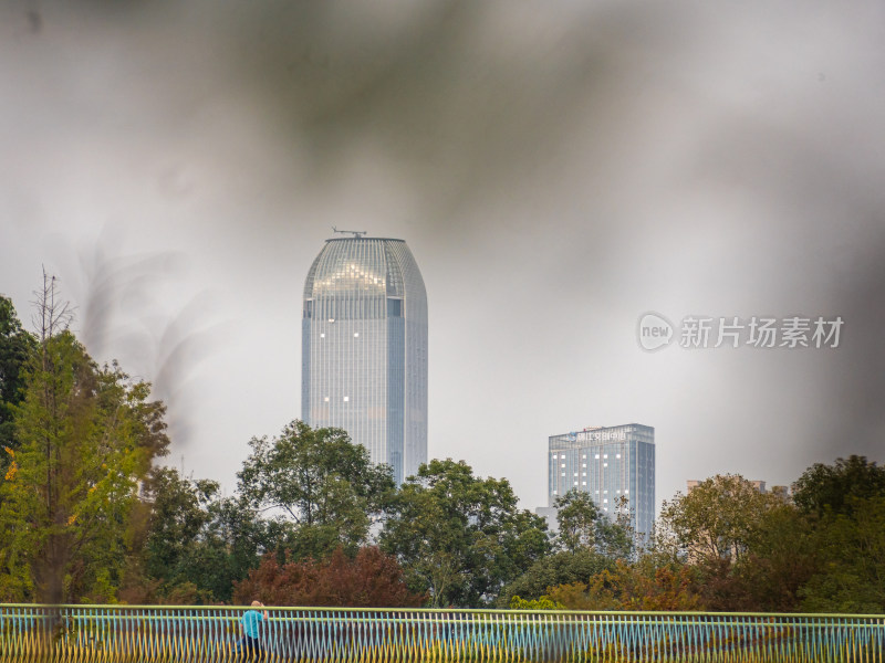 城市中的树木和建筑物顶着天空