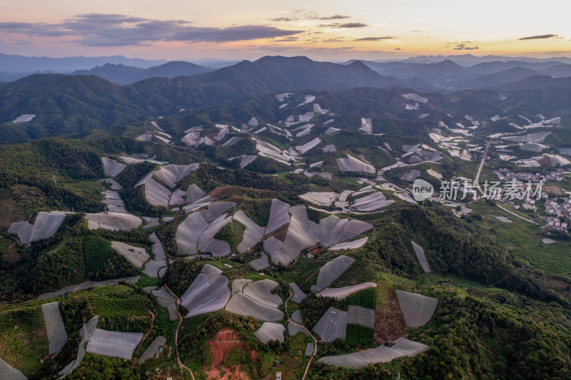 江西赣州赣南寻乌县脐橙种植基地航拍