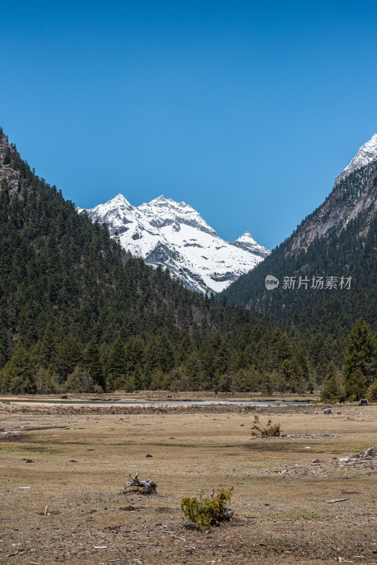 西藏林芝雪山原始森林秘境 巴松措与新措