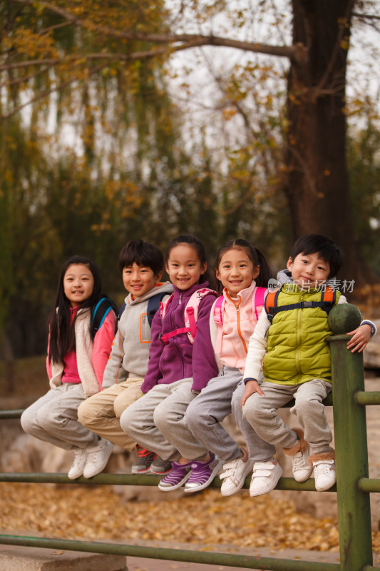 小学生在户外玩耍