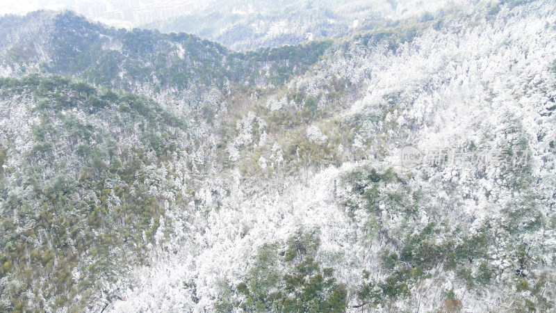 航拍绿色植物森林冬天雪景