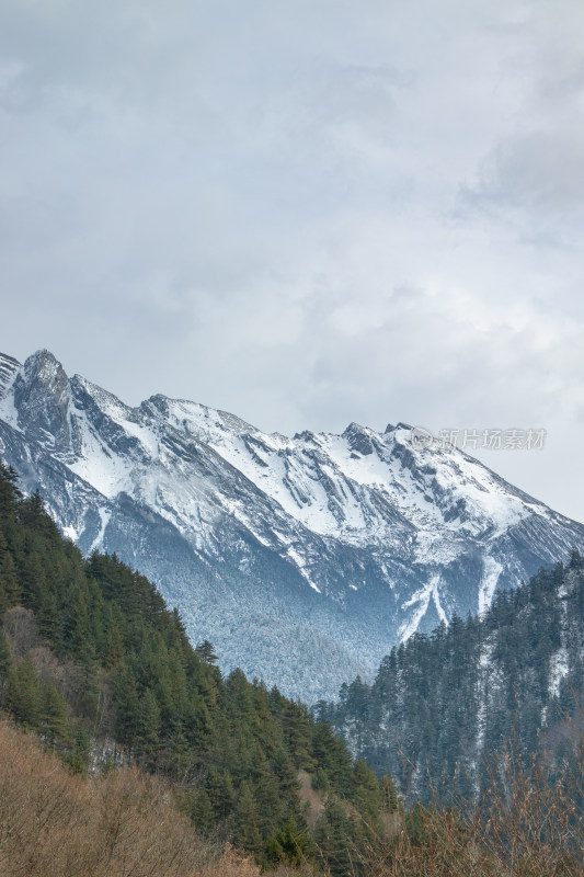 川西雪山特写