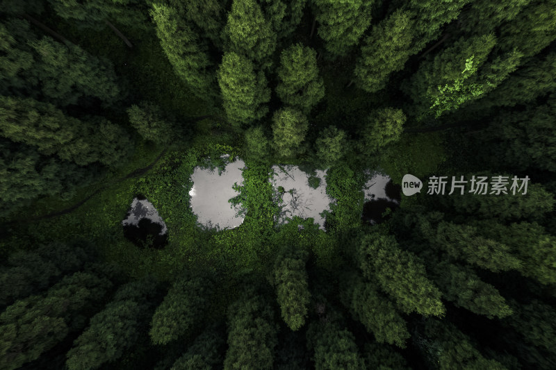 空中俯瞰绿意盎然的彭州中坝森林