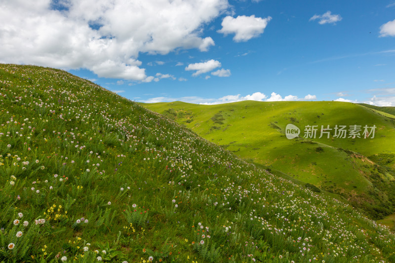 蓝天白云莲宝叶则群山映衬着天空