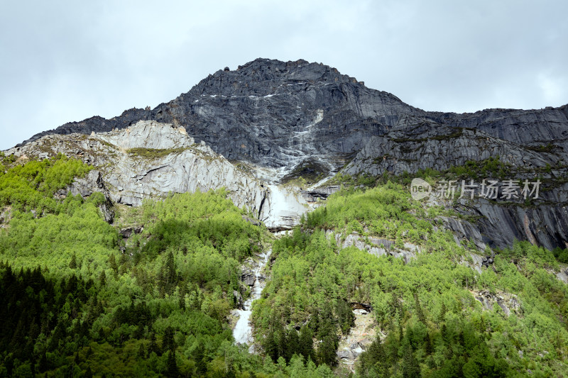 川西之旅，雪山，白云，树林