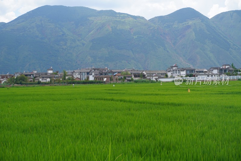 田野乡村与远山风景