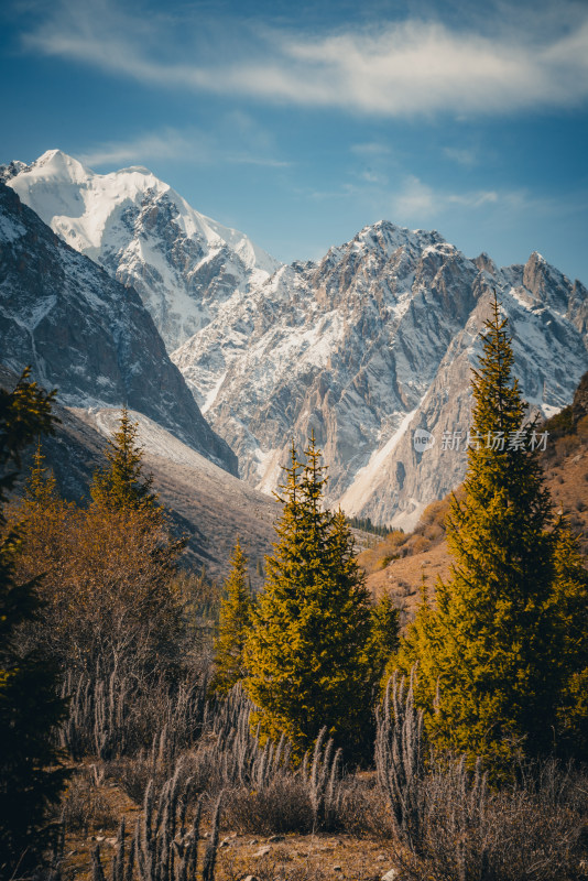 雪山森林风景