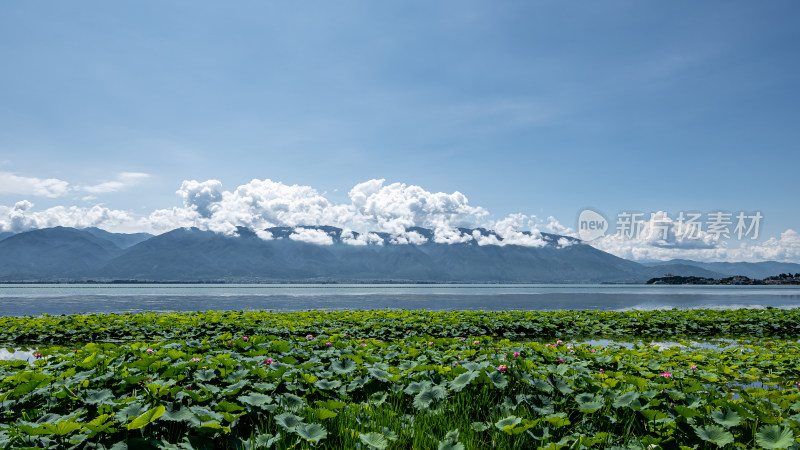 云海大理洱海航拍