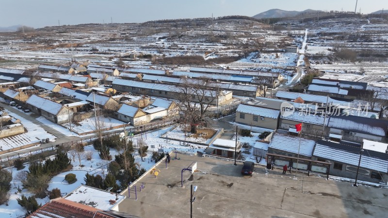 航拍威海市文登区瓦屋庄村百年银杏冬季雪景