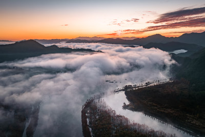 宣城 落羽杉 红杉林 宁国 山水中国