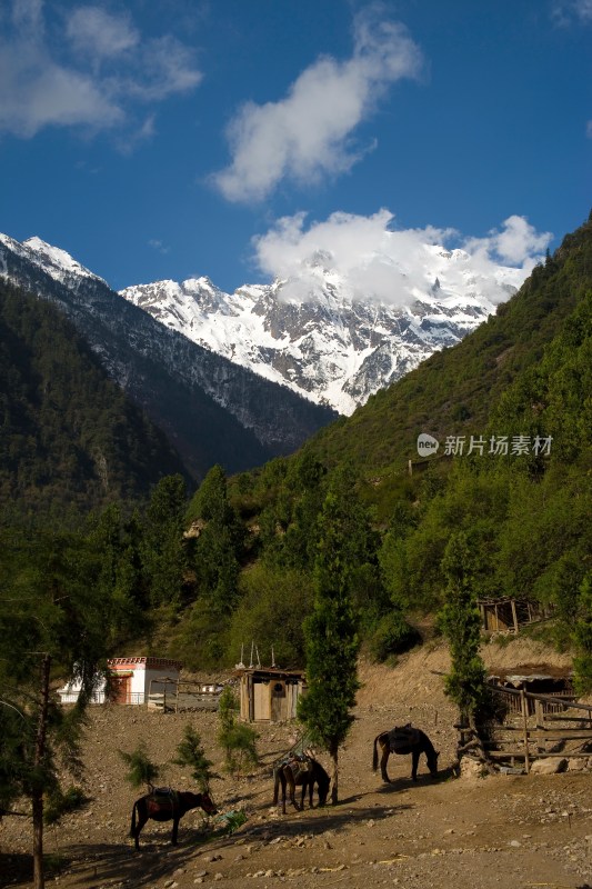 云南,德钦县,香格里拉,梅里雪山,明永冰川,