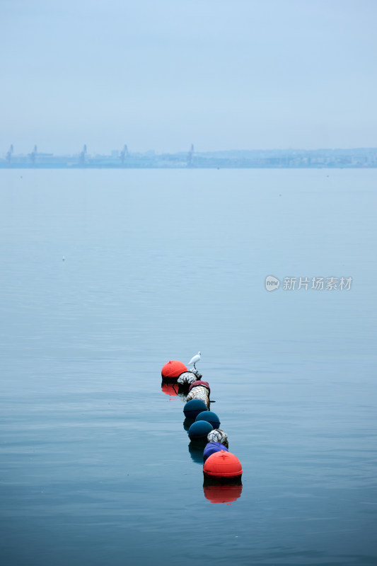 浮标上的海鸟