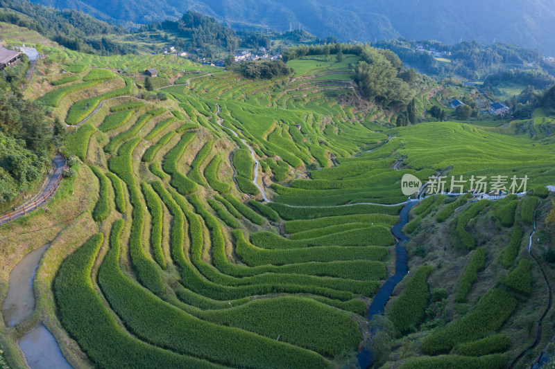 云和梯田景区风光航拍