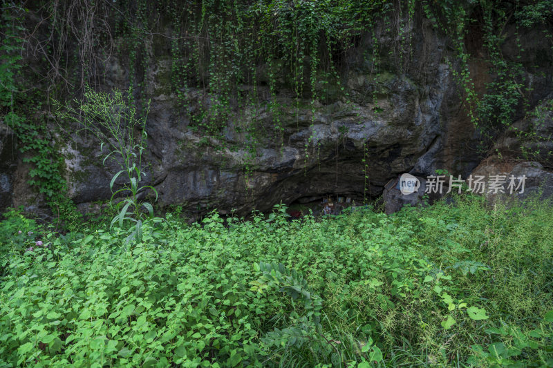 杭州凤凰山景区凤凰池风景