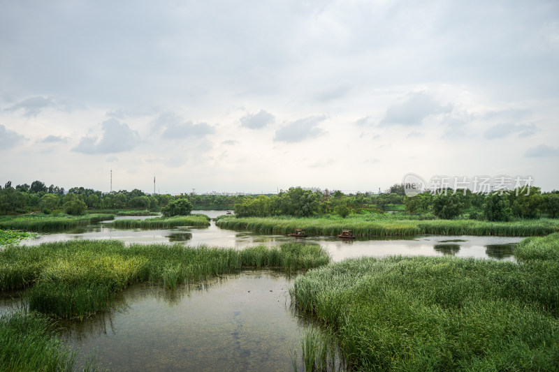 温榆河公园湖面船只植物