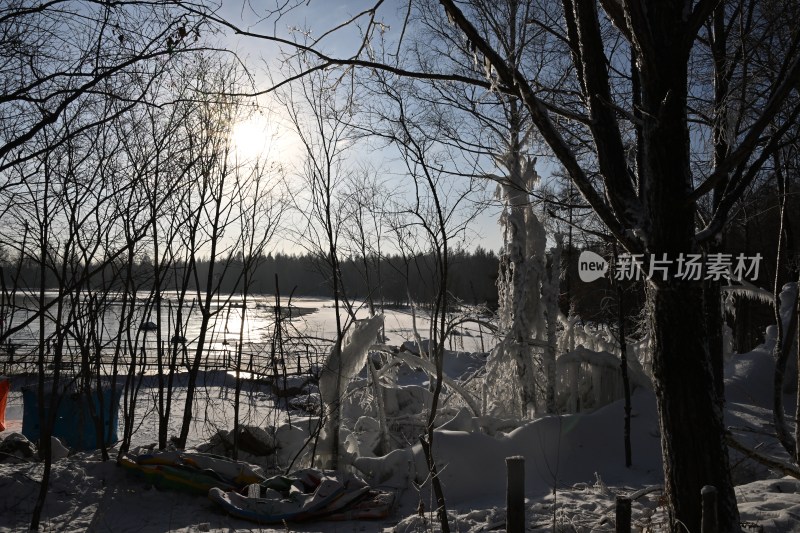 冬日户外阳光照射下的冰雪树林景色