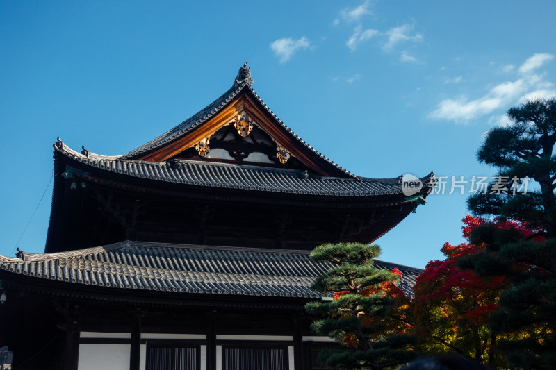 寺庙 京都 庭院 京都 秋天 日式