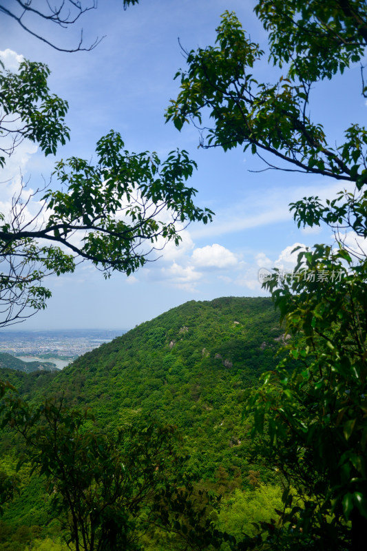 山中的风景