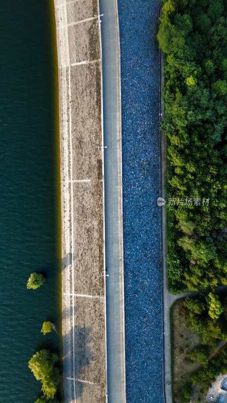 水库大坝与森林