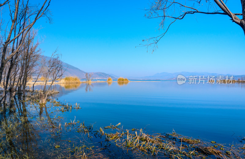 云南大理洱海湖畔树林秋景自然风光