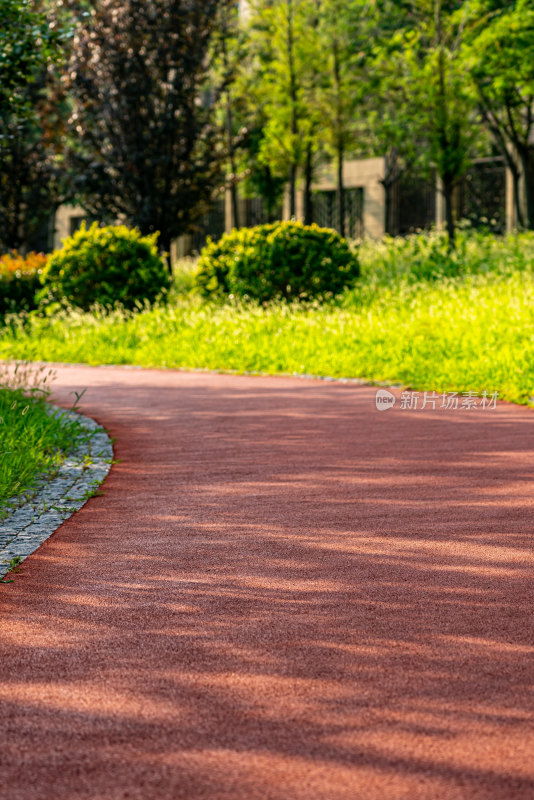 邹城中央公园城市绿植景观