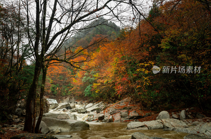 光雾山红叶彩林溪流河谷山谷漂亮壮观