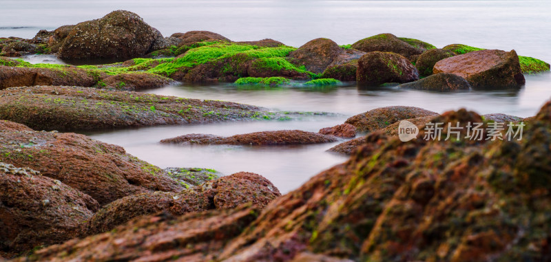 青岛太平角，绿藻布满岩石