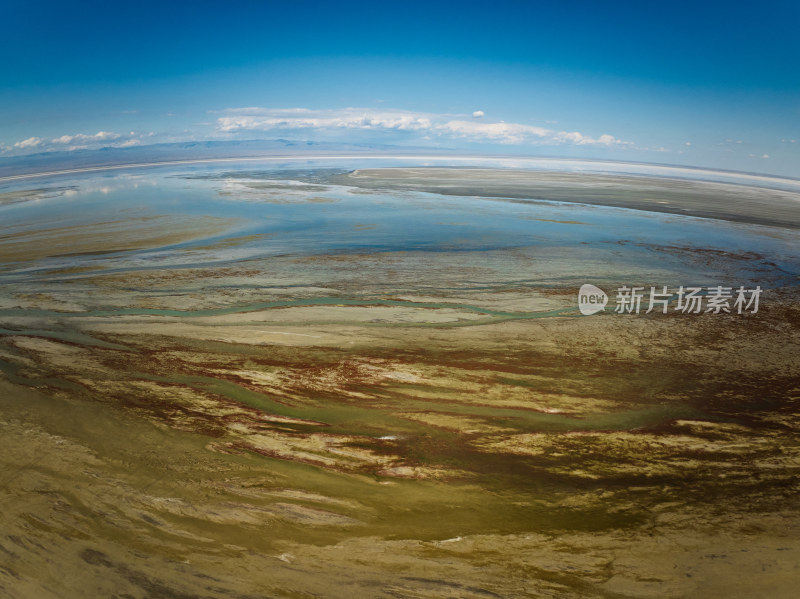 新疆艾比湖湿地