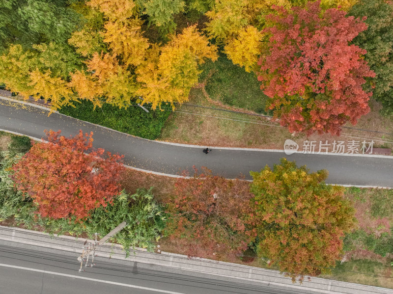 航拍昆山道路上的秋冬景色