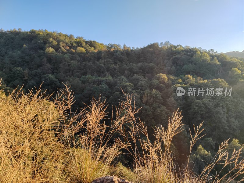 山林间的自然风景