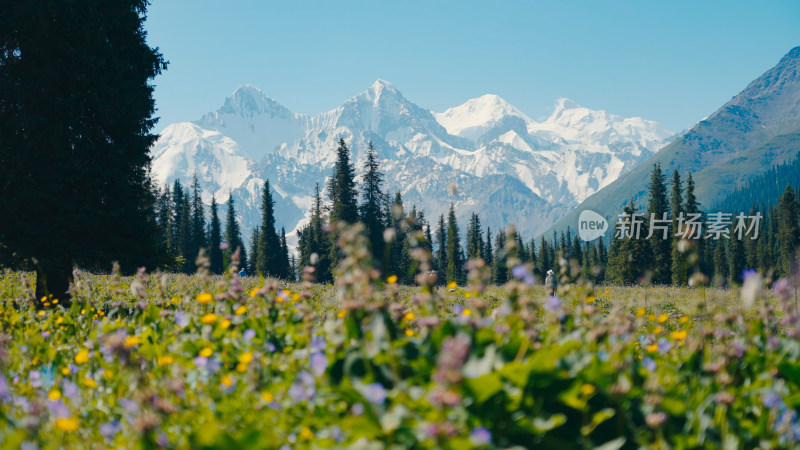森林雪山自然风景