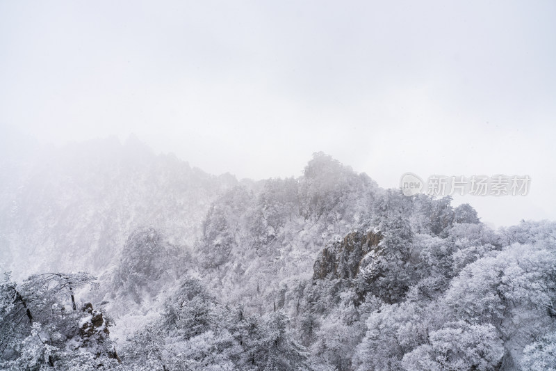 老君山下雪大山森林雾凇景观