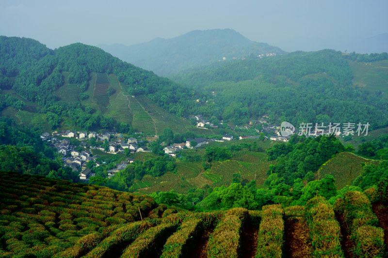 浙江杭州龙井村