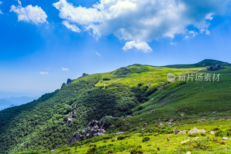 夏季蓝天白云绿色高山草甸群山大气风光