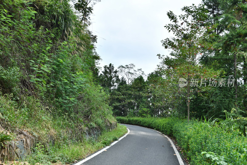 绿色步道，生态环境