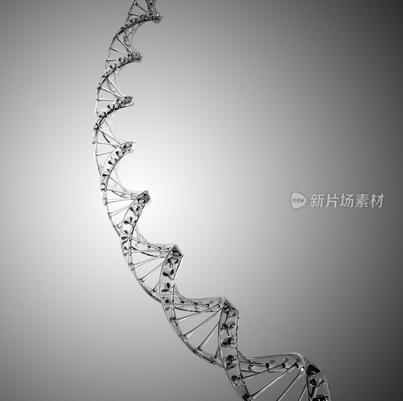 DNA链基因