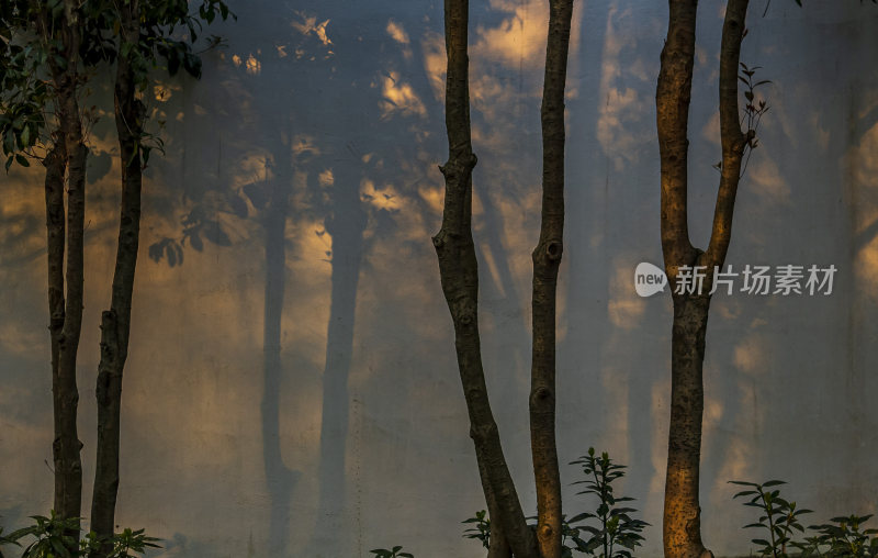 杭州西湖章太炎纪念馆