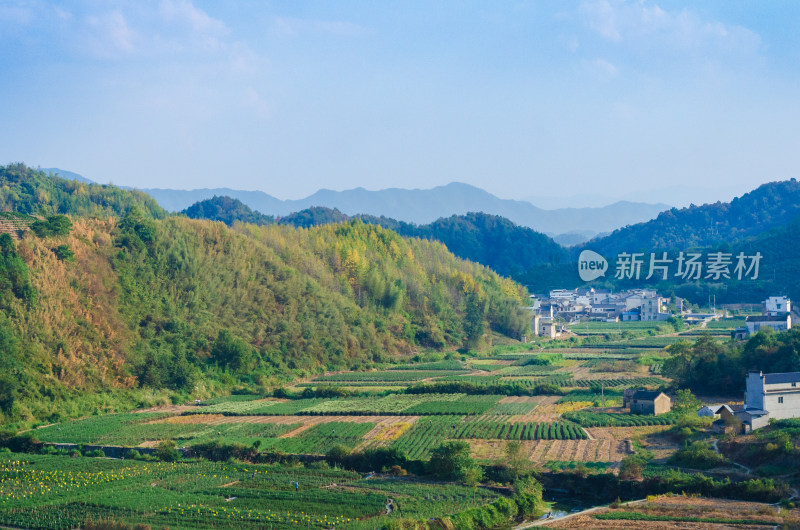 安徽黄山市的山谷田野