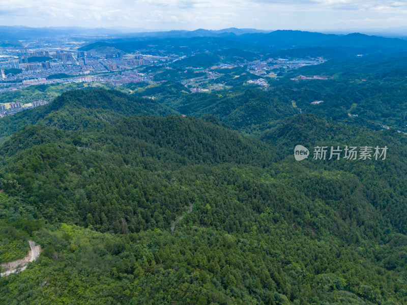 祖国大好河山绿色森林植物航拍图