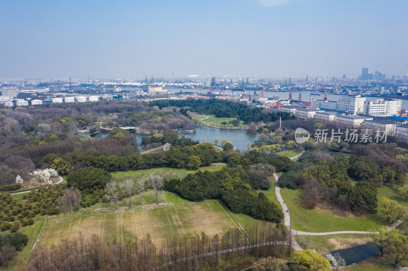 上海共青森林公园