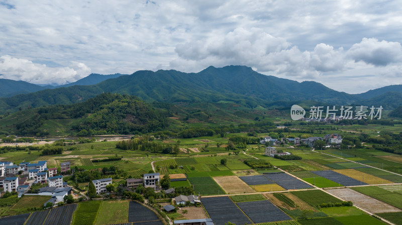 航拍武夷山绿色农田与茶园