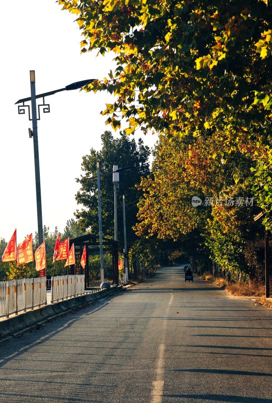 秋日乡村道路风景