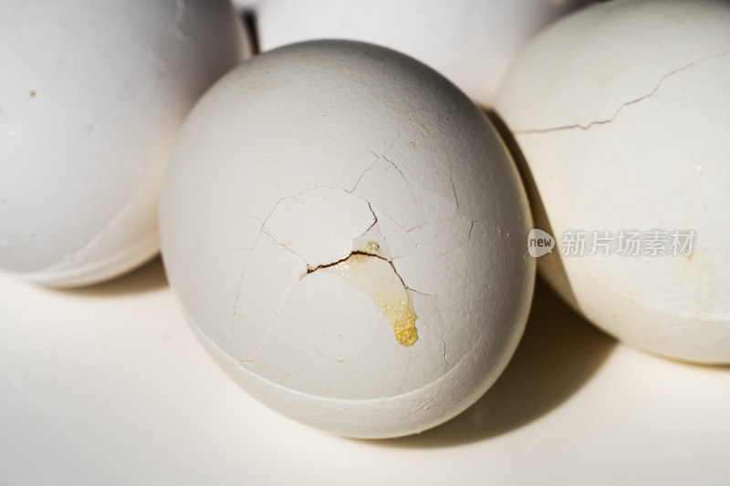 鸡蛋壳裂纹运输损坏鸡蛋