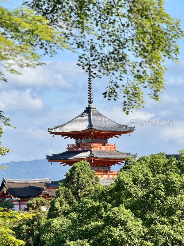 京都 - 清水寺 - 视角